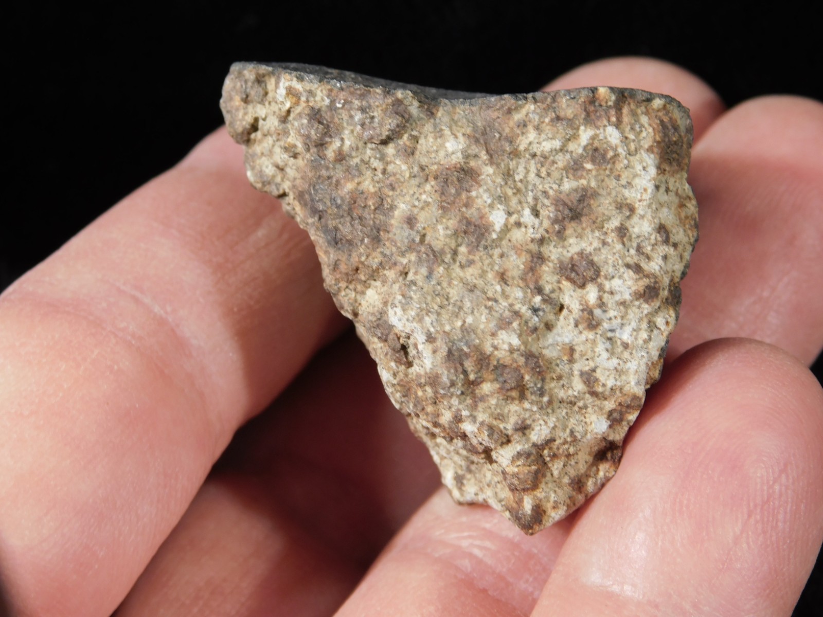 Classified NWA 8245 METEORITE 100% Natural FELL on Erfoud, Morocco 47.3gr