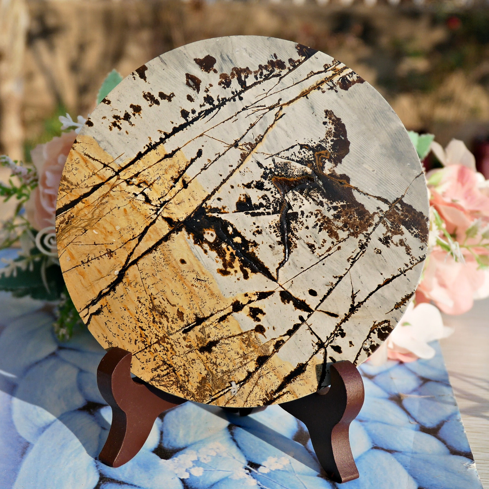 Picture Jasper Round Slice 5in Polished Landscape Stone Disc Display Shelf Decor
