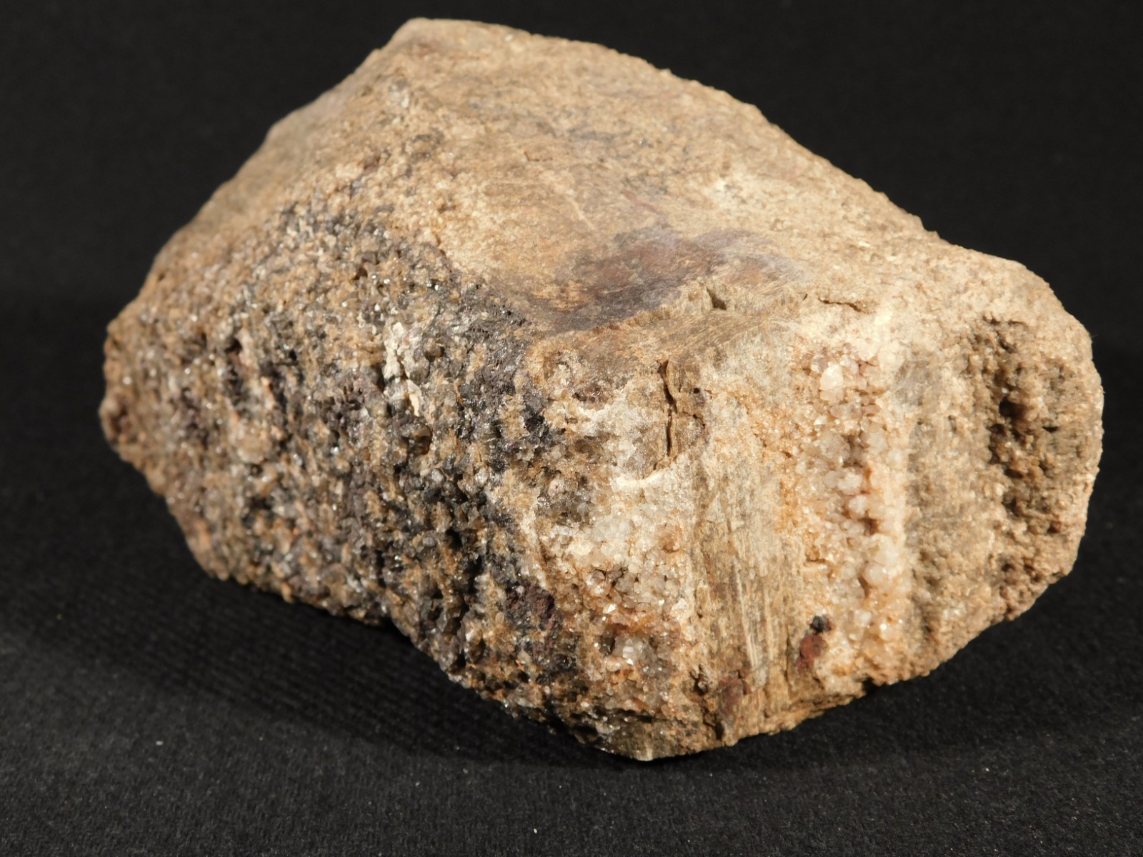 Big! Petrified Wood Fossil With SMOKY Quartz CRYSTALS Utah 2362gr