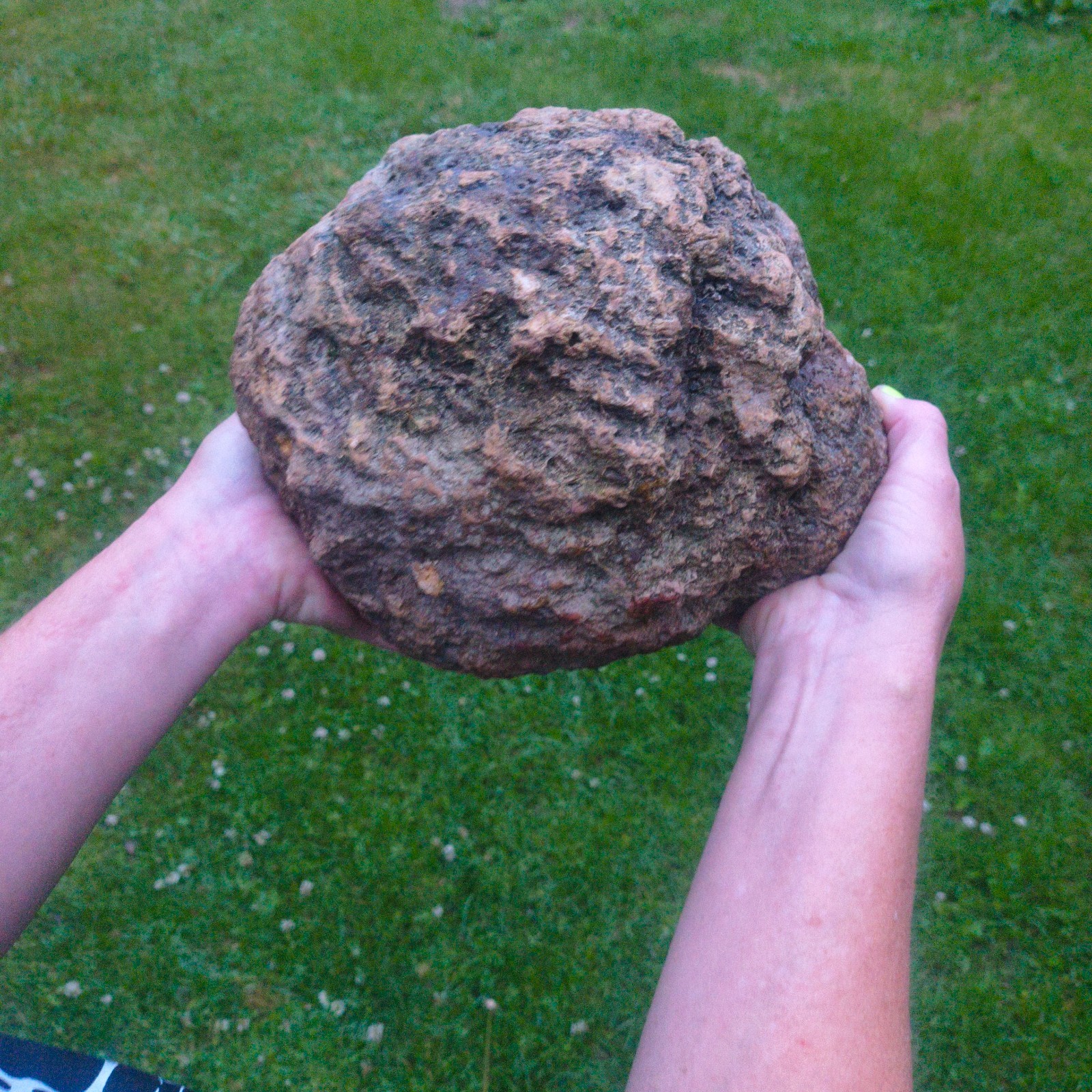 20.6 lb Unopened Kentucky Geode Break Your Own Large Quartz Crystal Hand Picked