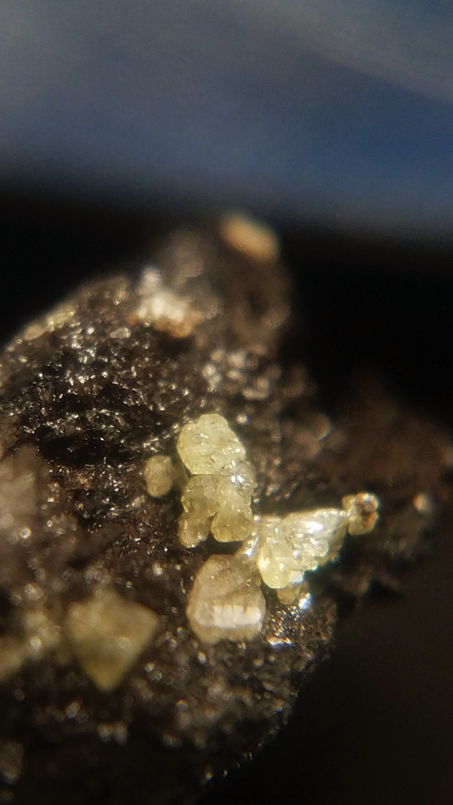 SiG: Tiny Light Pale Yellow Sulphur Crystals on Dark Matrix from Austria