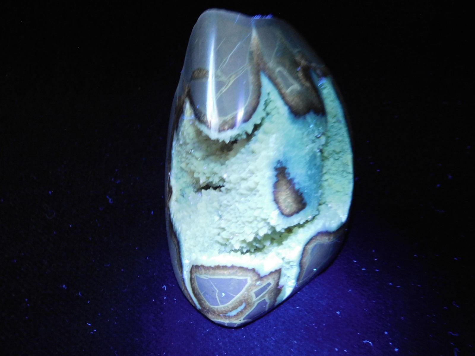 Big Polished AAA Crystal Filled Hollow Septarian GEODE Free Form Utah 1044gr