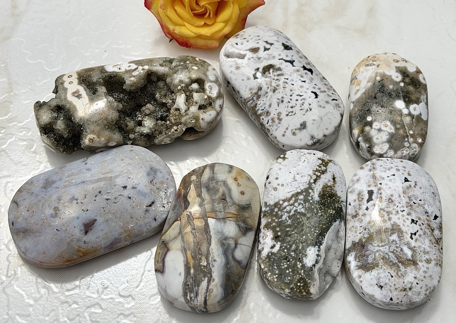 Wholesale Lot 1 Lb Natural Ocean Jasper Palm Stone Crystal Healing Energy.