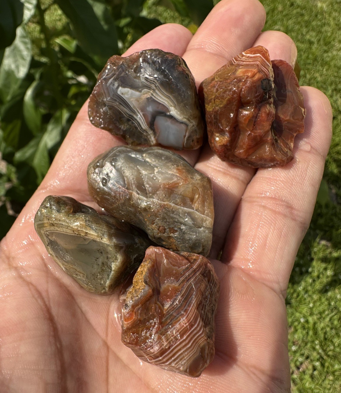 3.65 oz Lake Superior Agate Lapidary Lot 5 Multicolor Beauty’s