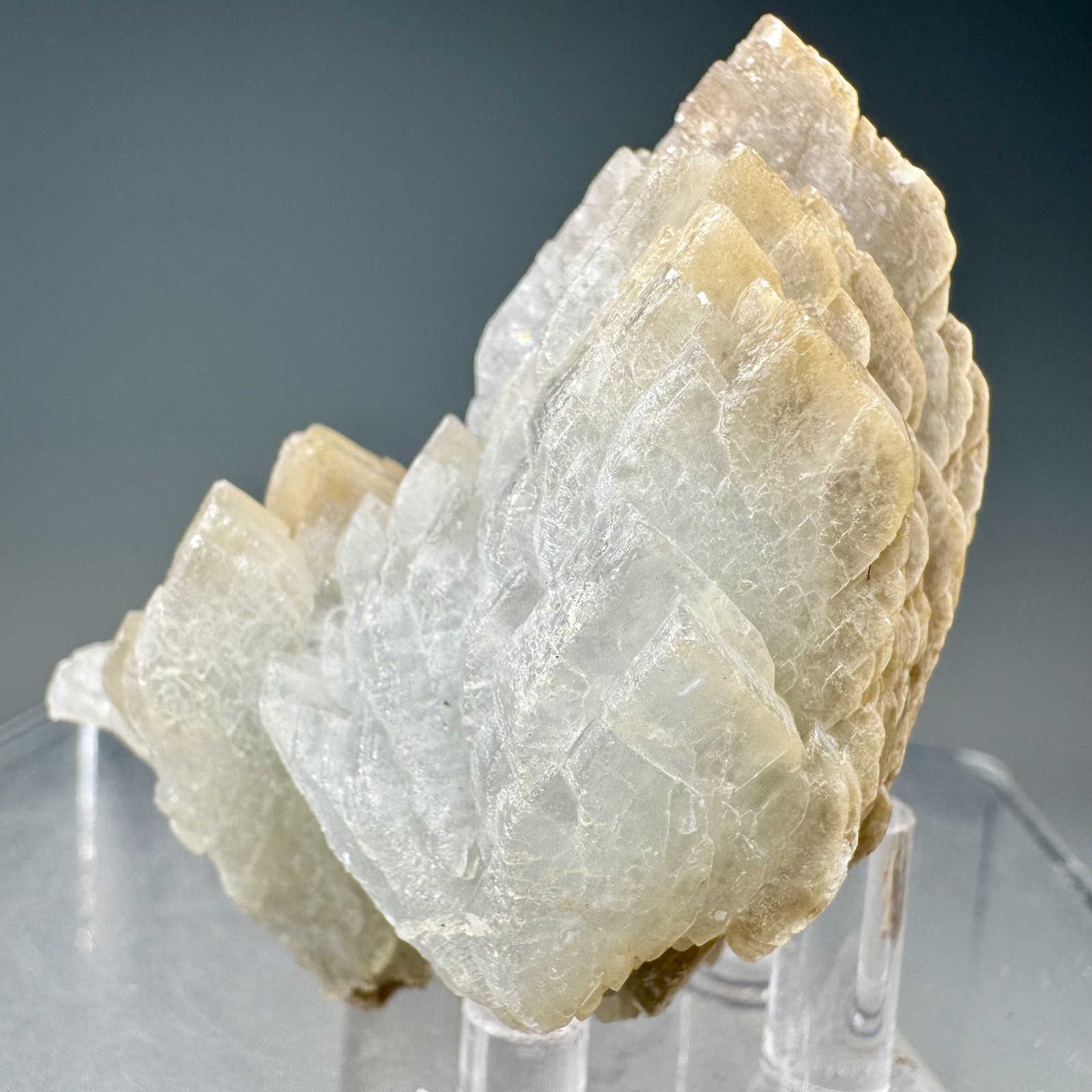 Fine Baryte Crystal Group: Paga No. 1 Mine, Cartersville, Georgia- Classic!!