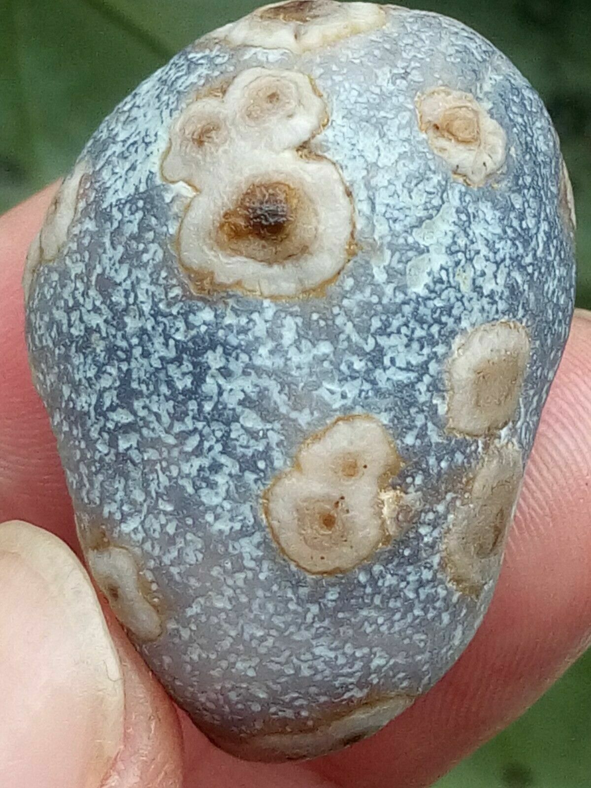 36mm Natural Gobi agate eye agate/stone,Suiseki-viewing collection china