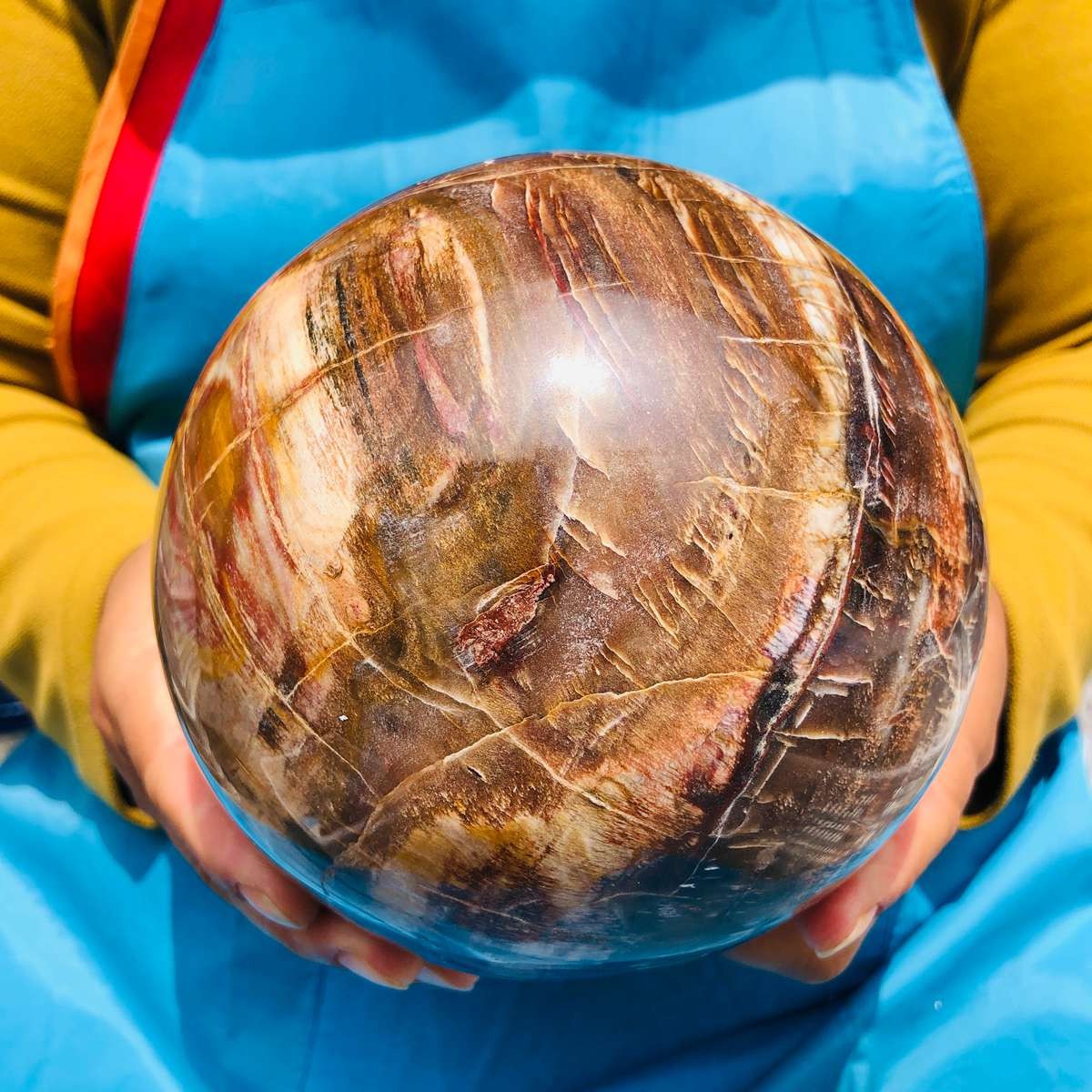 7.72LB Rare Natural Petrified Wood Ball Crystal Quartz Mineral Healing 4709