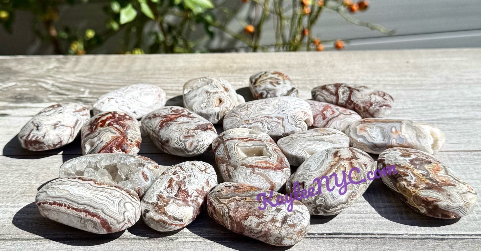 Wholesale Lot 2 Lbs Natural Mexican Lace Agate Palm Stone Crystal Healing