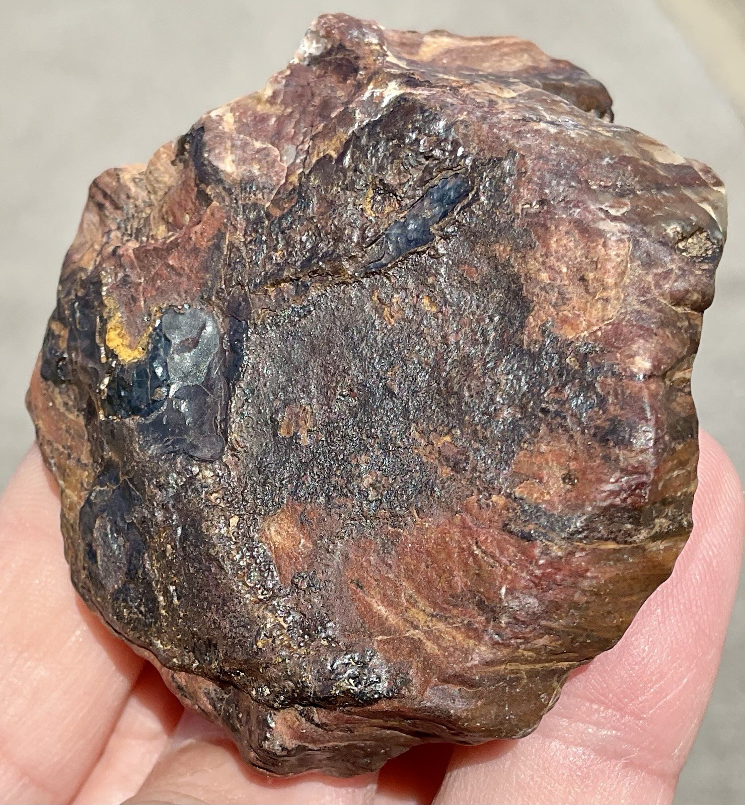 141g Banded Iron Petrified Wood Pseudomorph Rare Minnesota Rough Lapidary