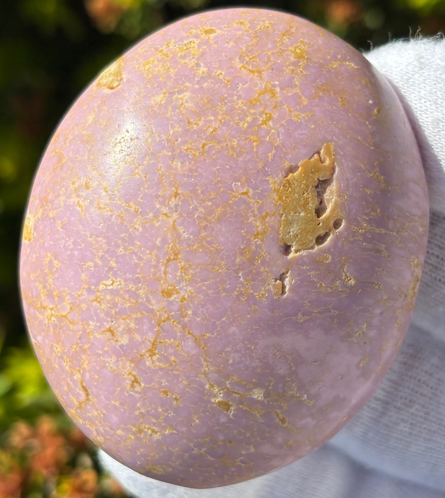 LOT PHOSPHOSIDERITE & ARFVEDSONITE Antho phyllite PALMSTONES PALM STONE FLASH