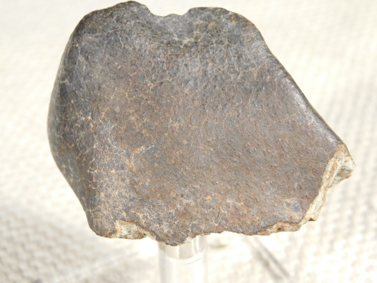 Stony METEORITE with DARK Fusion Crust and Contraction CRACKS 70.2gr