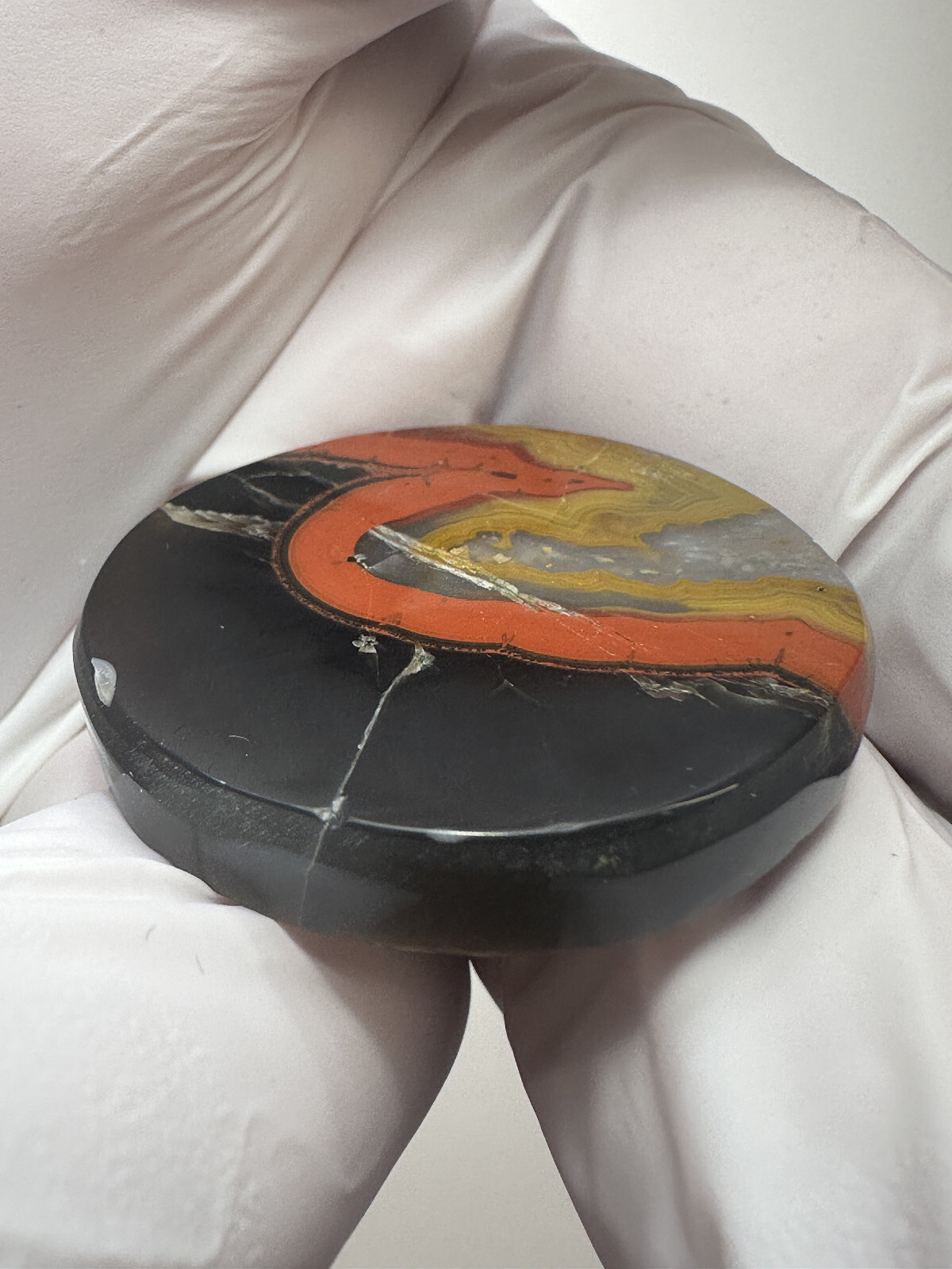 RARE ( 76.5 ct. ) Kentucky Agate Designer Cabochon from Estill County, Kentucky