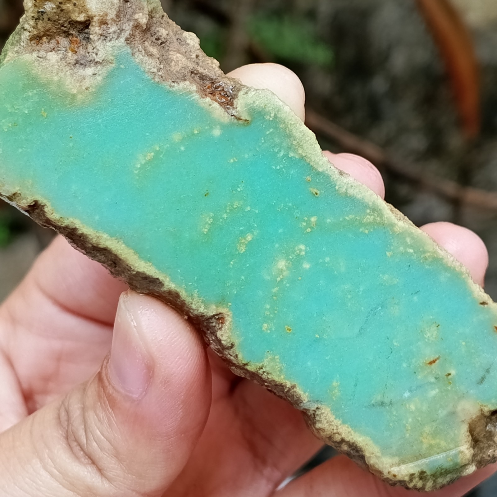44Gr Natural Slice Bluish Green CHRYSOPRASE mineral Specimen Rough Indonesia