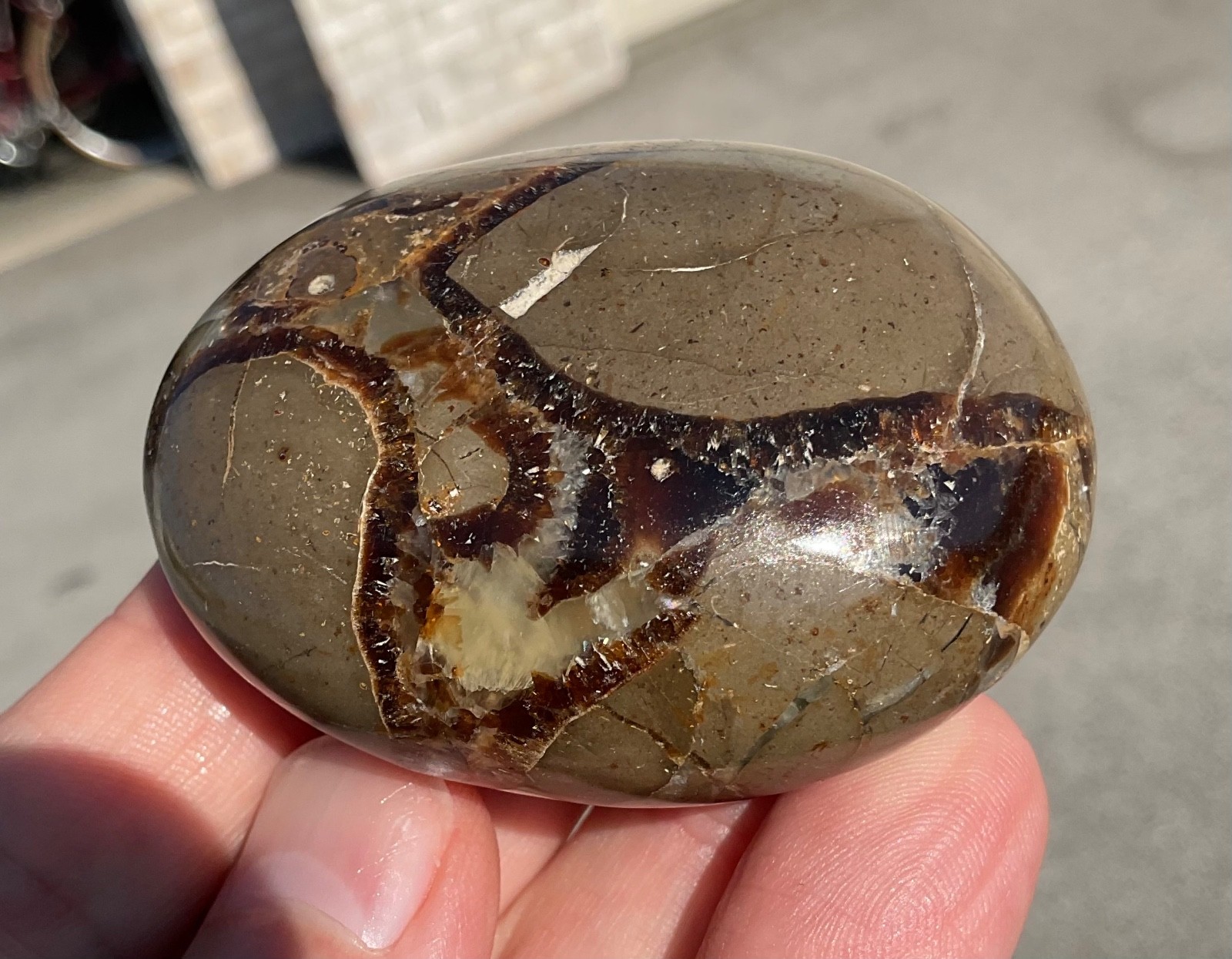 118g Polished Septarian Palmstone Dragon Egg Geode Fossil Worry Stone