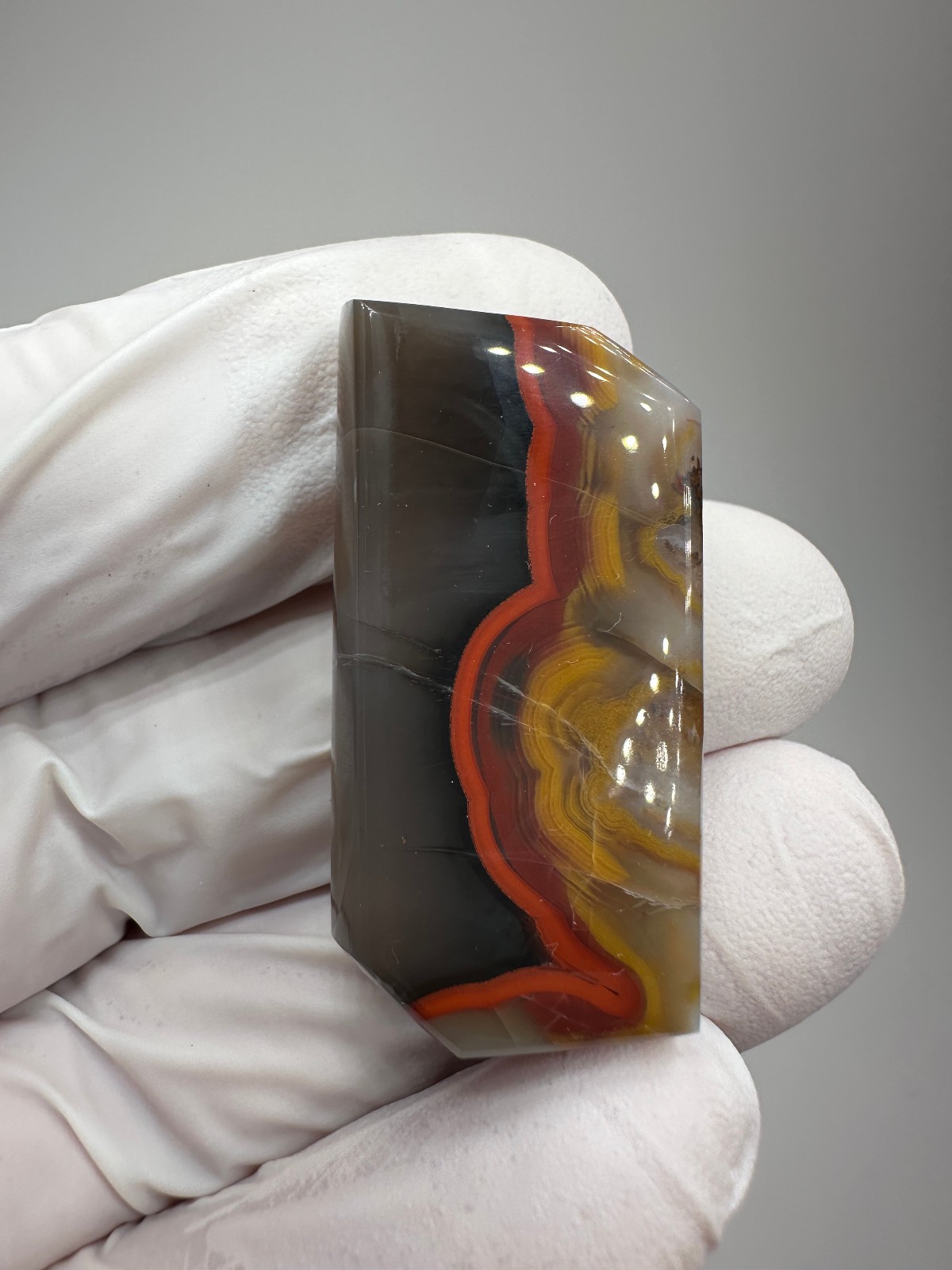 RARE ( 61 ct. ) Kentucky Agate Designer Cabochon from Estill County, Kentucky