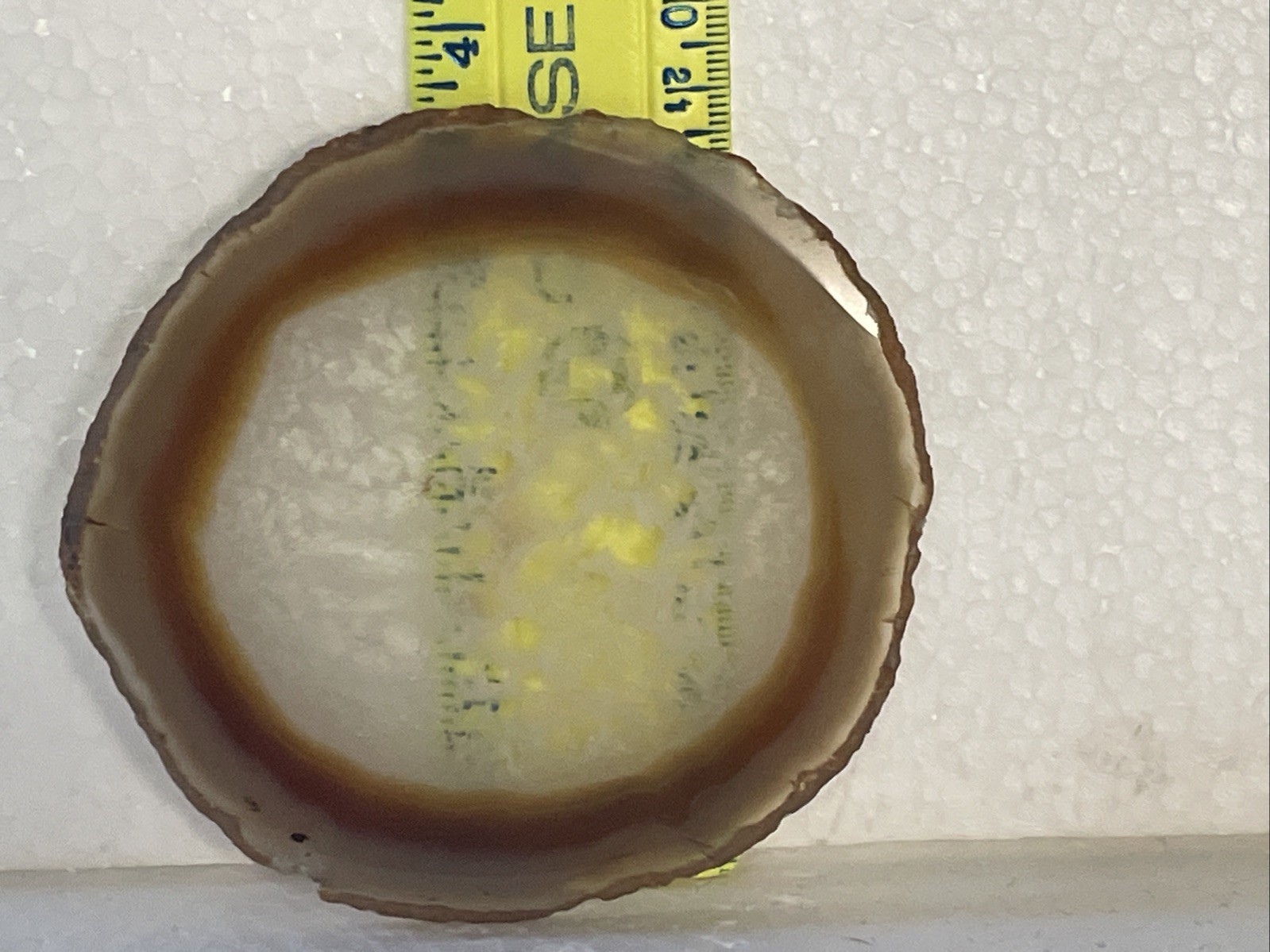 BEAUTIFUL Polished Agate Slice Round Slab BROWN WHITE AND CLEAR Stone