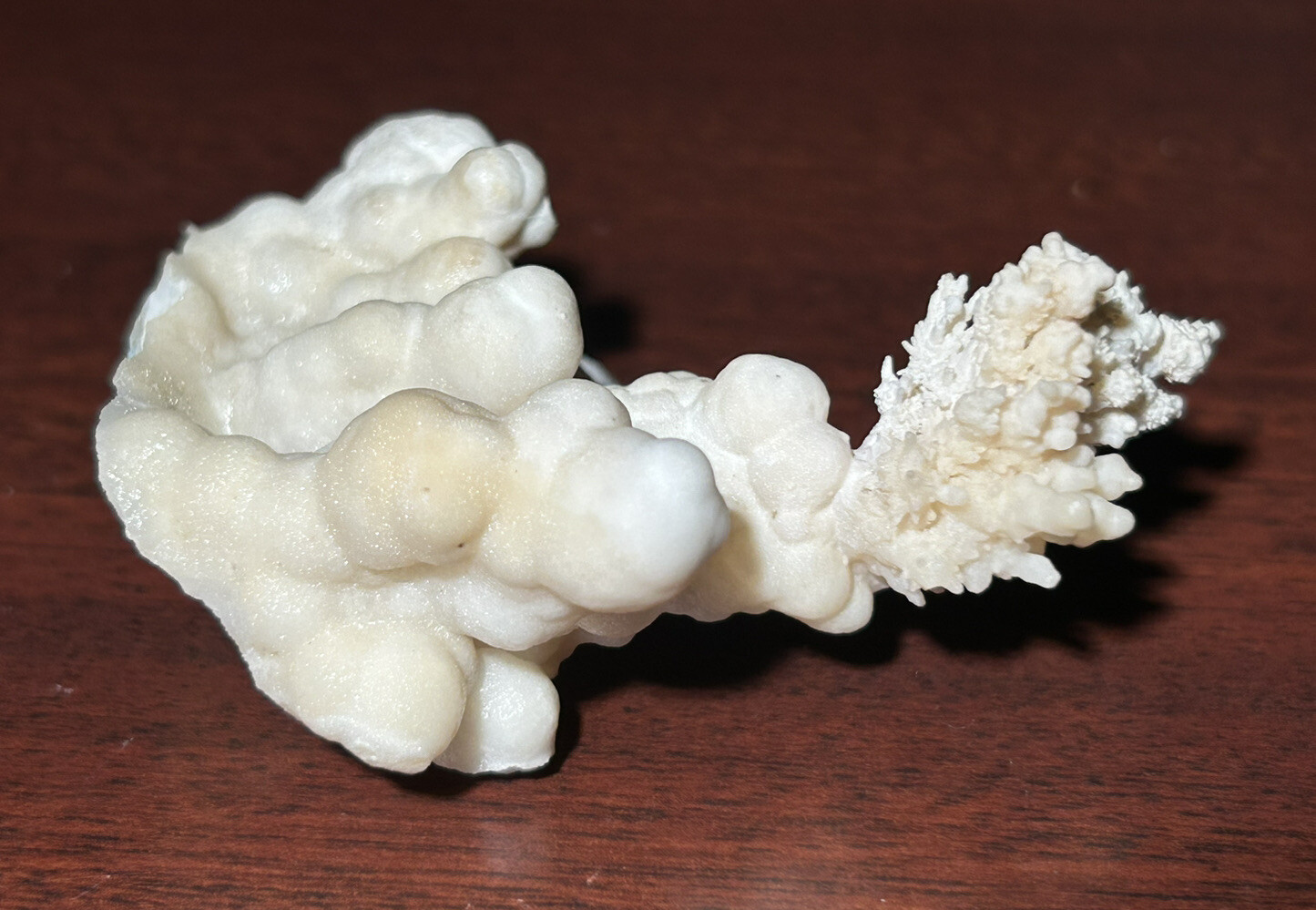 ARAGONITE on CALCITE – Stevenson-Bennett Mine, Doña Ana County, New Mexico