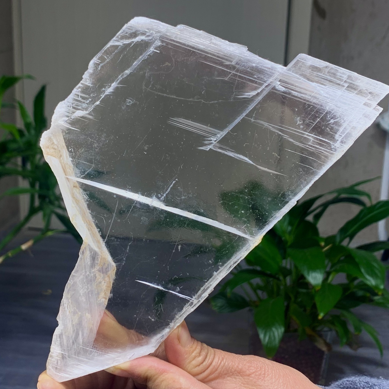 494G Natural selenite gypsum quartz crystal slab mineral specimen healin