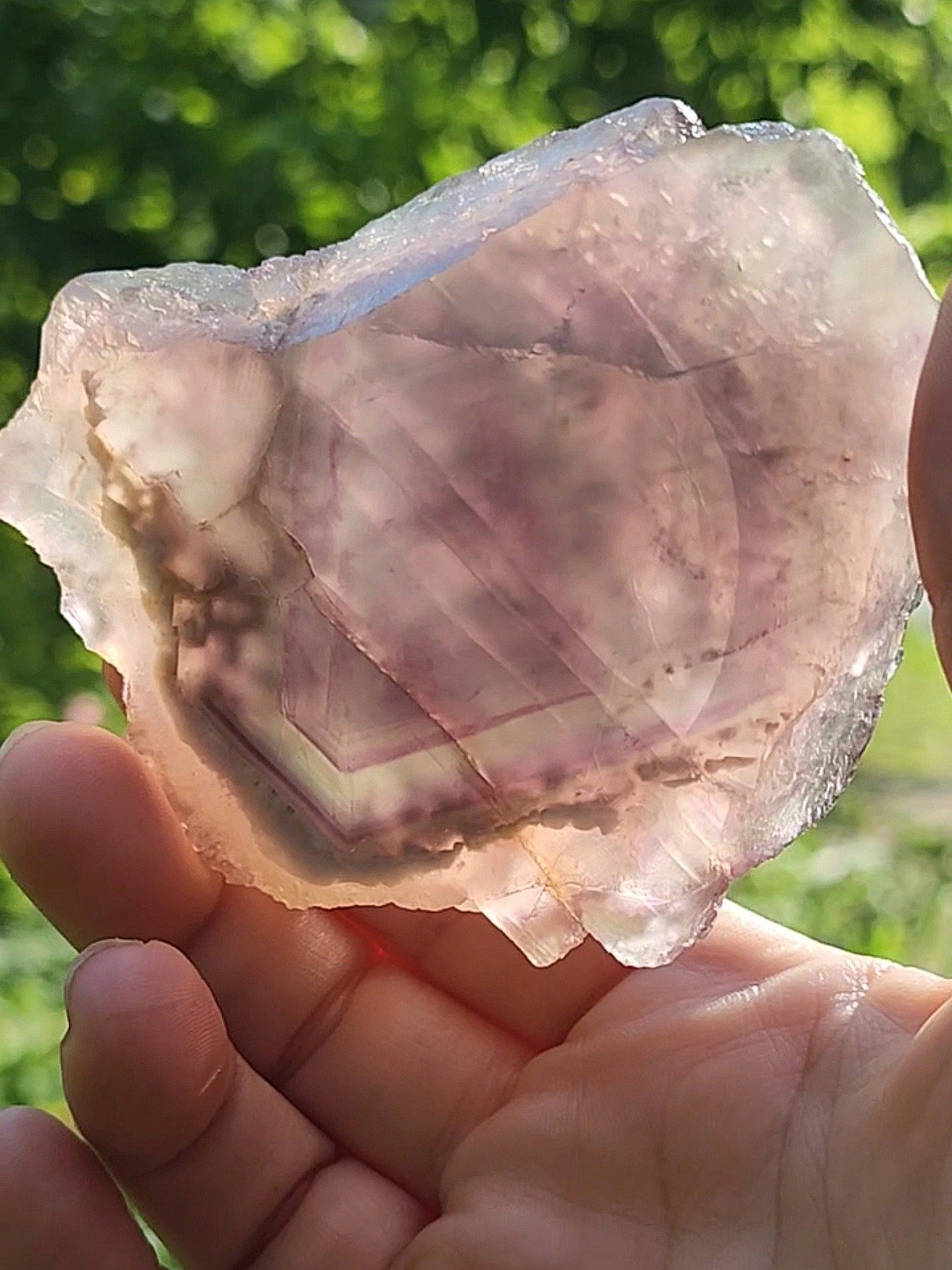 ✨️Terraced tricolor fluorite with chevron zoning Qinglong Mine, China✨️