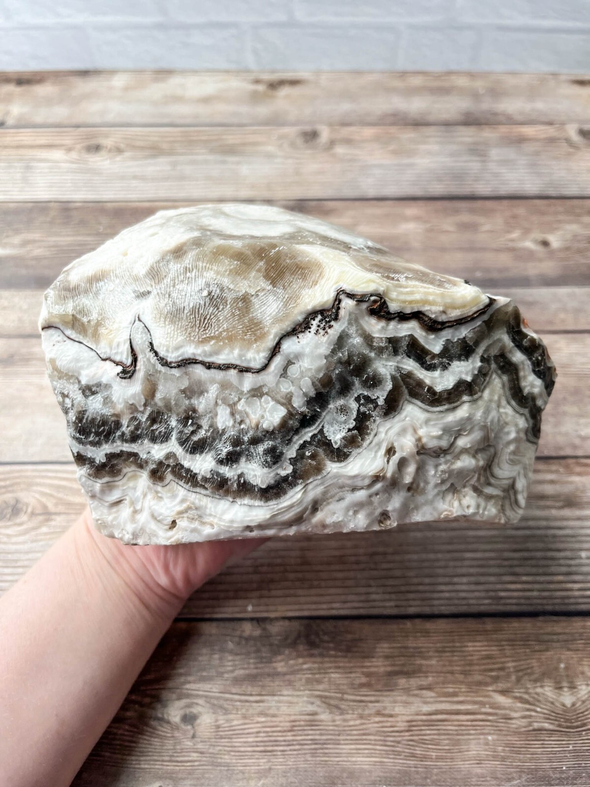 Zebra Calcite , 5 lb 6.9 oz Mexican Raw Rough
