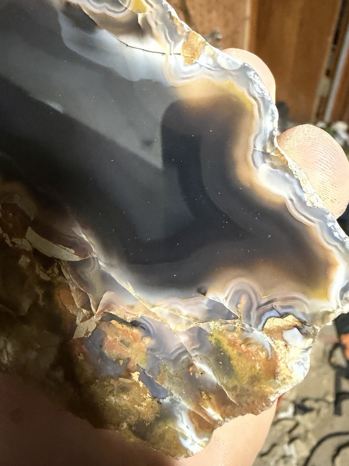 XL 2+ Pounds Kentucky Agate | Great Old Stock Piece I Recently Polished