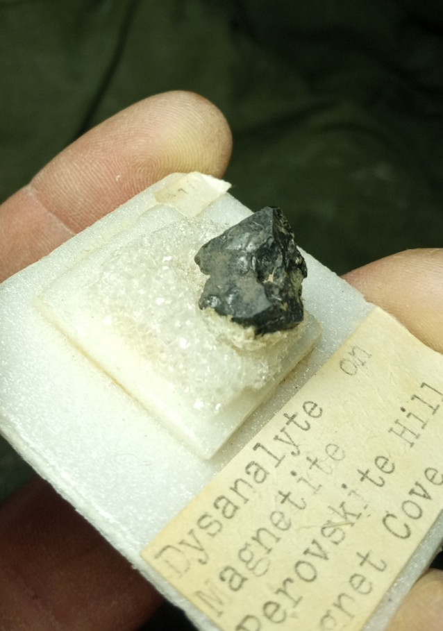 Old Collection Dysanalyte on Magnetite Magnet Cove Arkansas Perovskite Hill