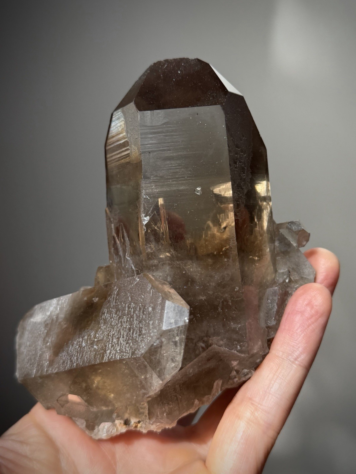 Diamantina Quartz Crystal Starbrary Quartz Natural Smoky Quartz Brazil Crystal