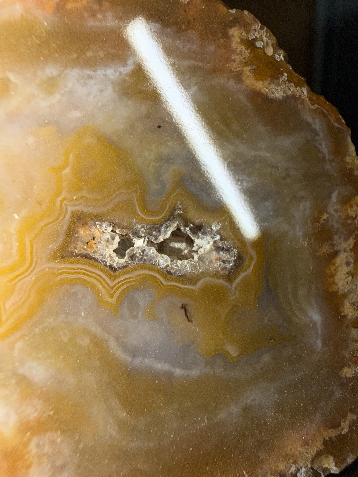 5 Mirror Polished Kentucky Agate Specimens. Nice Variety Fortifications Banding
