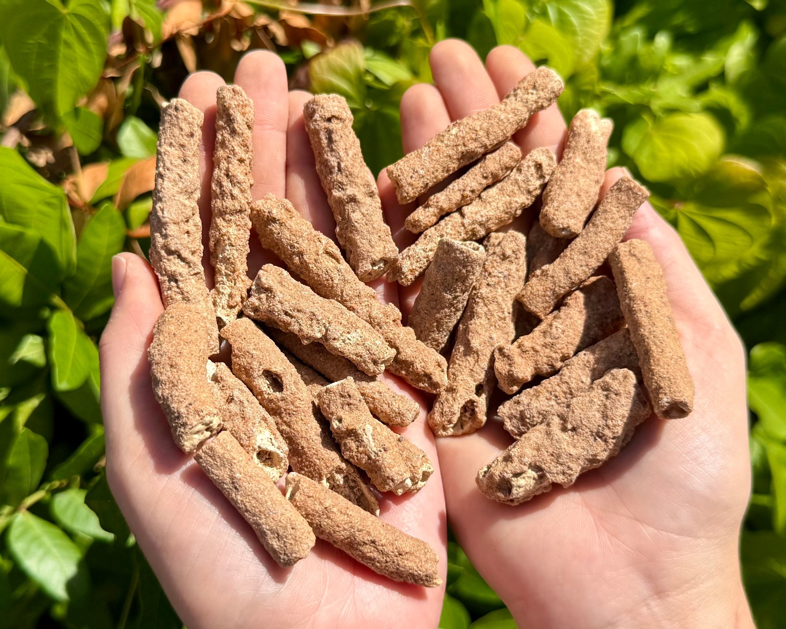 RARE Fulgurite Crystals Collection Box – Natural Lightning Formed Raw Fulgurite