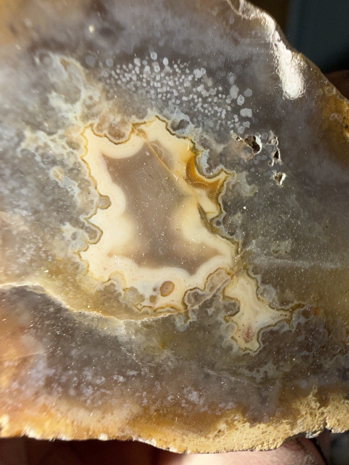 5 Mirror Polished Kentucky Agate Specimens. Nice Variety Fortifications Banding