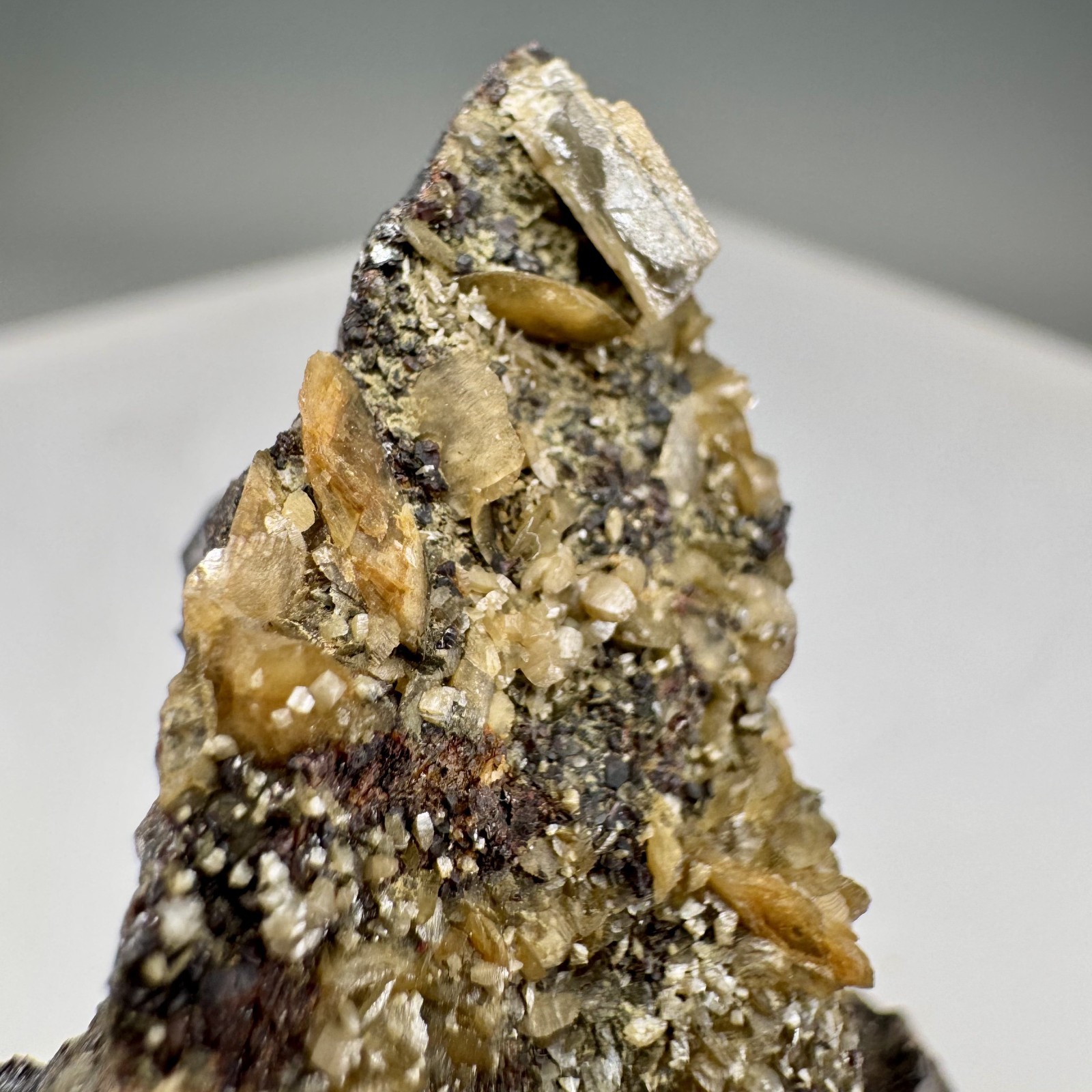 Wulfenite Crystals on Matrix: Lill Mine, Přibram, Czech Republic- Classic!!