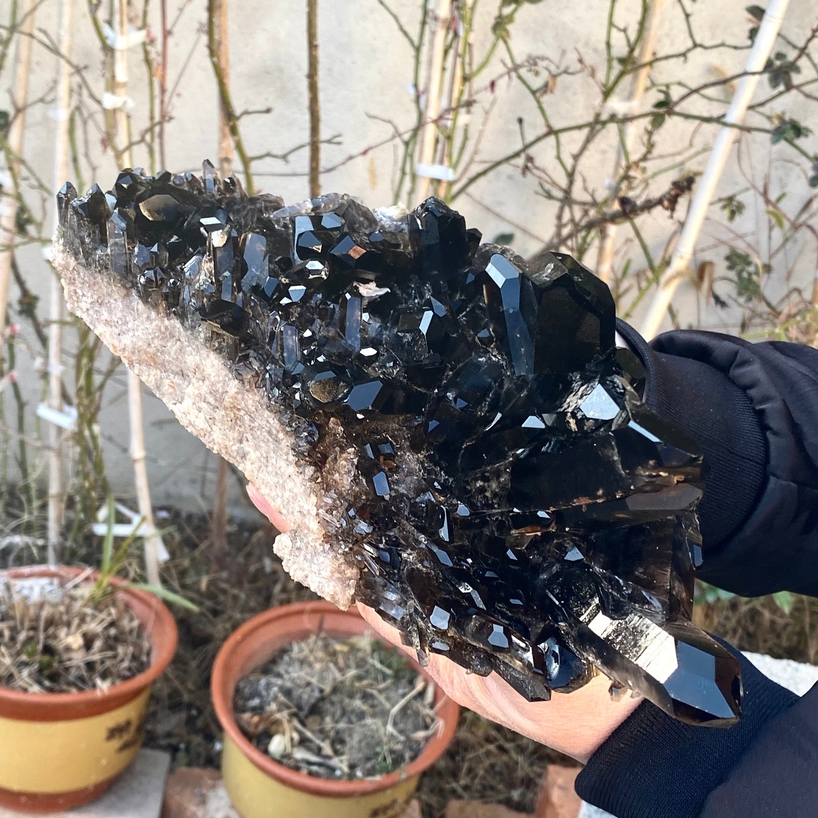 5.25LB Large Natural black Quartz Crystal Cluster Rough Specimen Healing Stone.