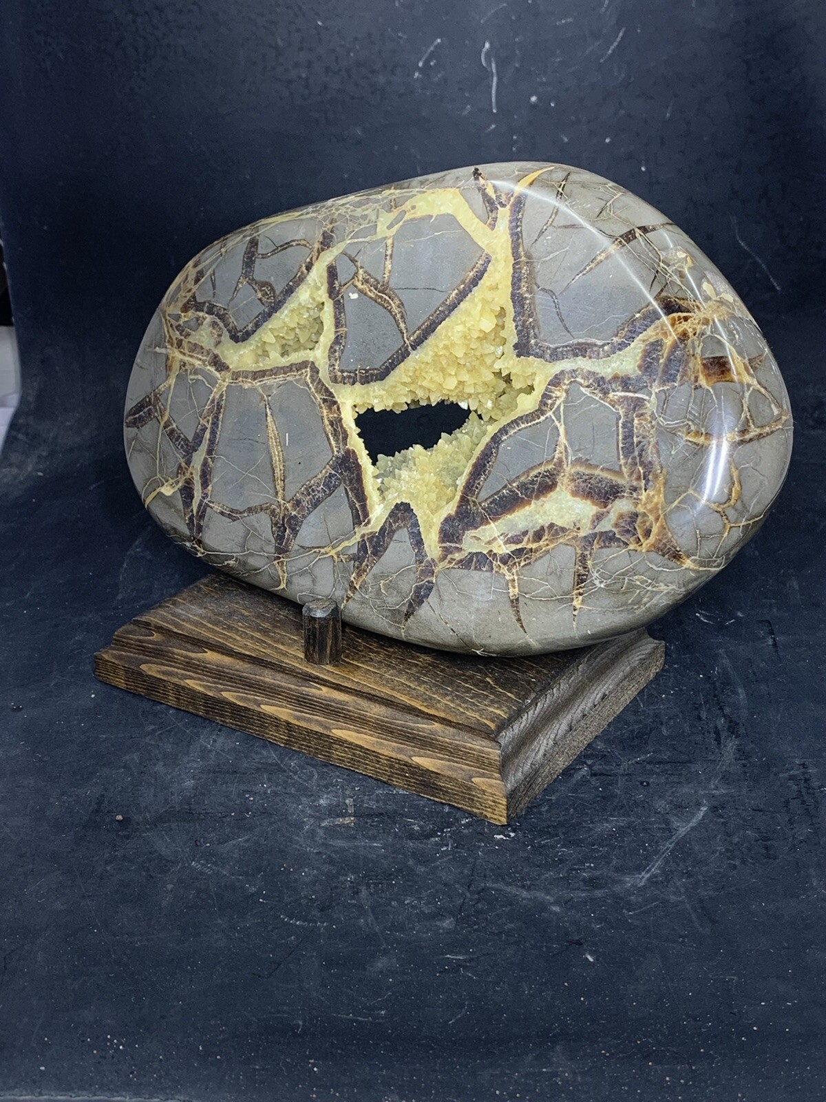Septarian Nodule Hollow Slab,Dragon Stone ( Utah ) Stand And Description Card