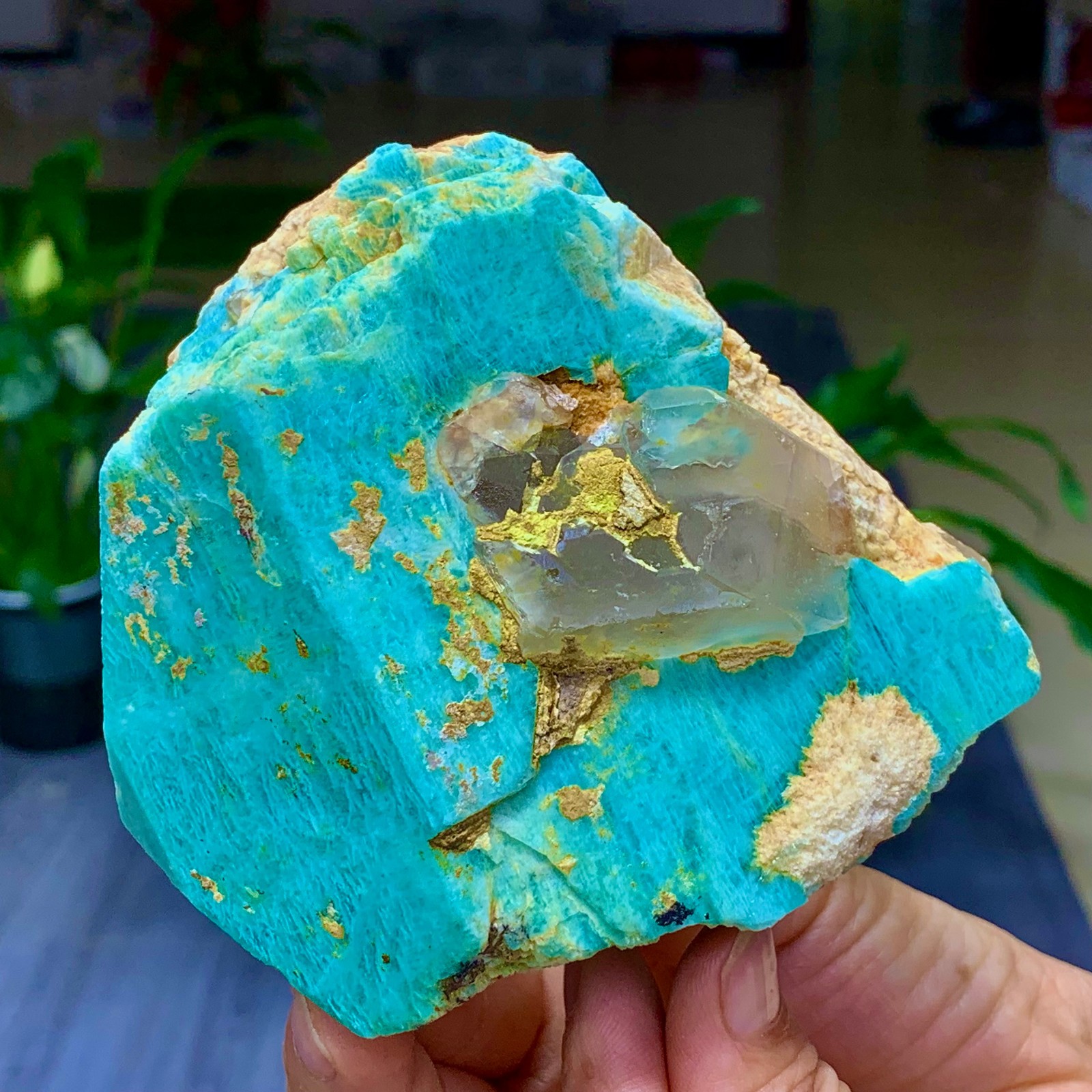 1.58LB Rare!! Natural beautiful Amazonite with Quartz Crystal Specimen Rough