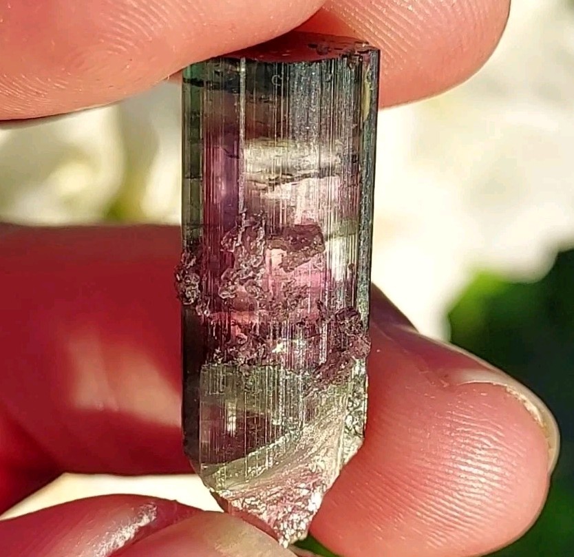 ULTRA RARE BURKHARD’S POCKET TOURMALINE NO REPAIRS PEDERNEIRA MINE BRAZIL