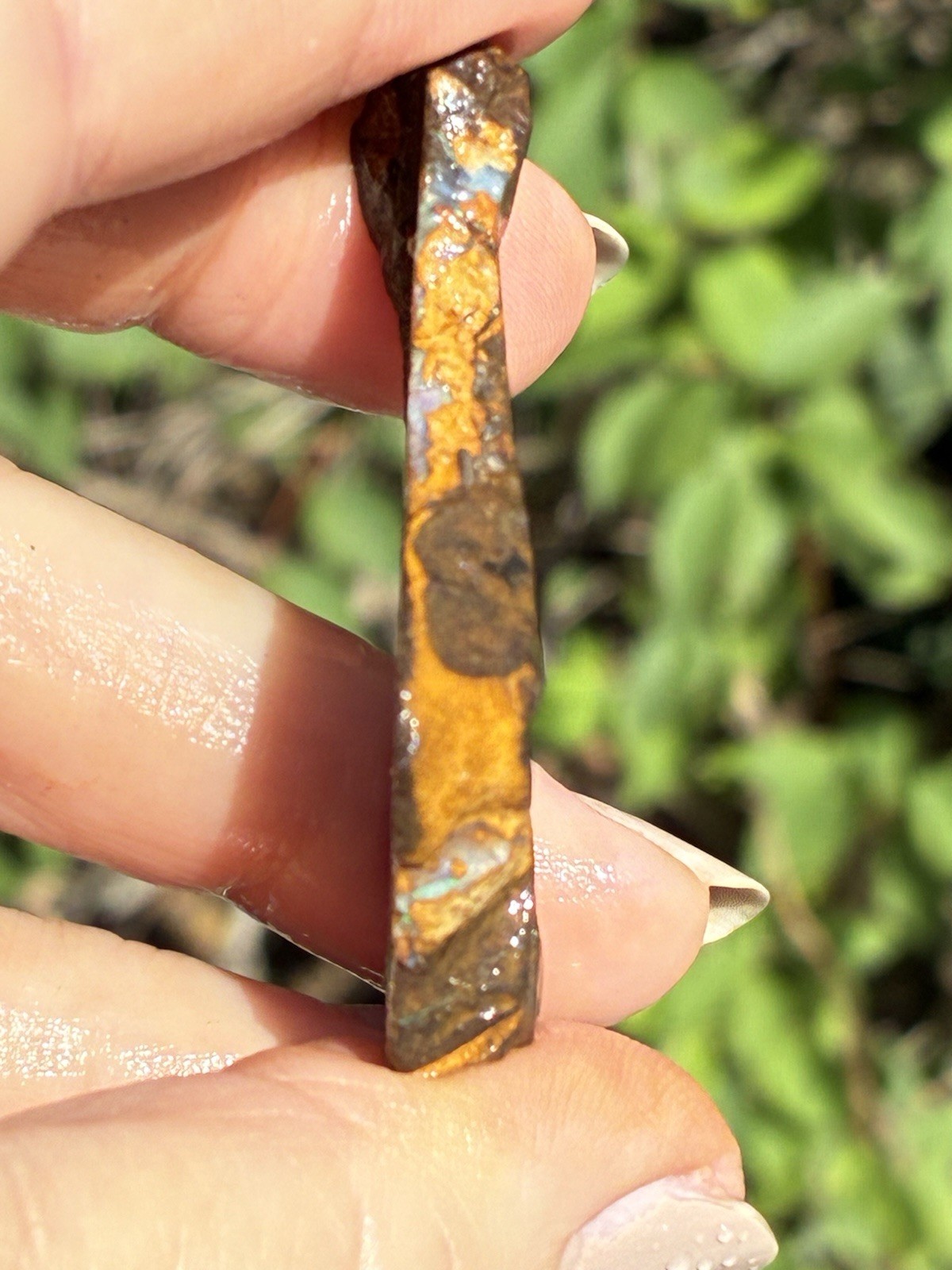 Beautiful 88ct Large Australian Boulder Opal Rough Loose Spider Specimen Green D