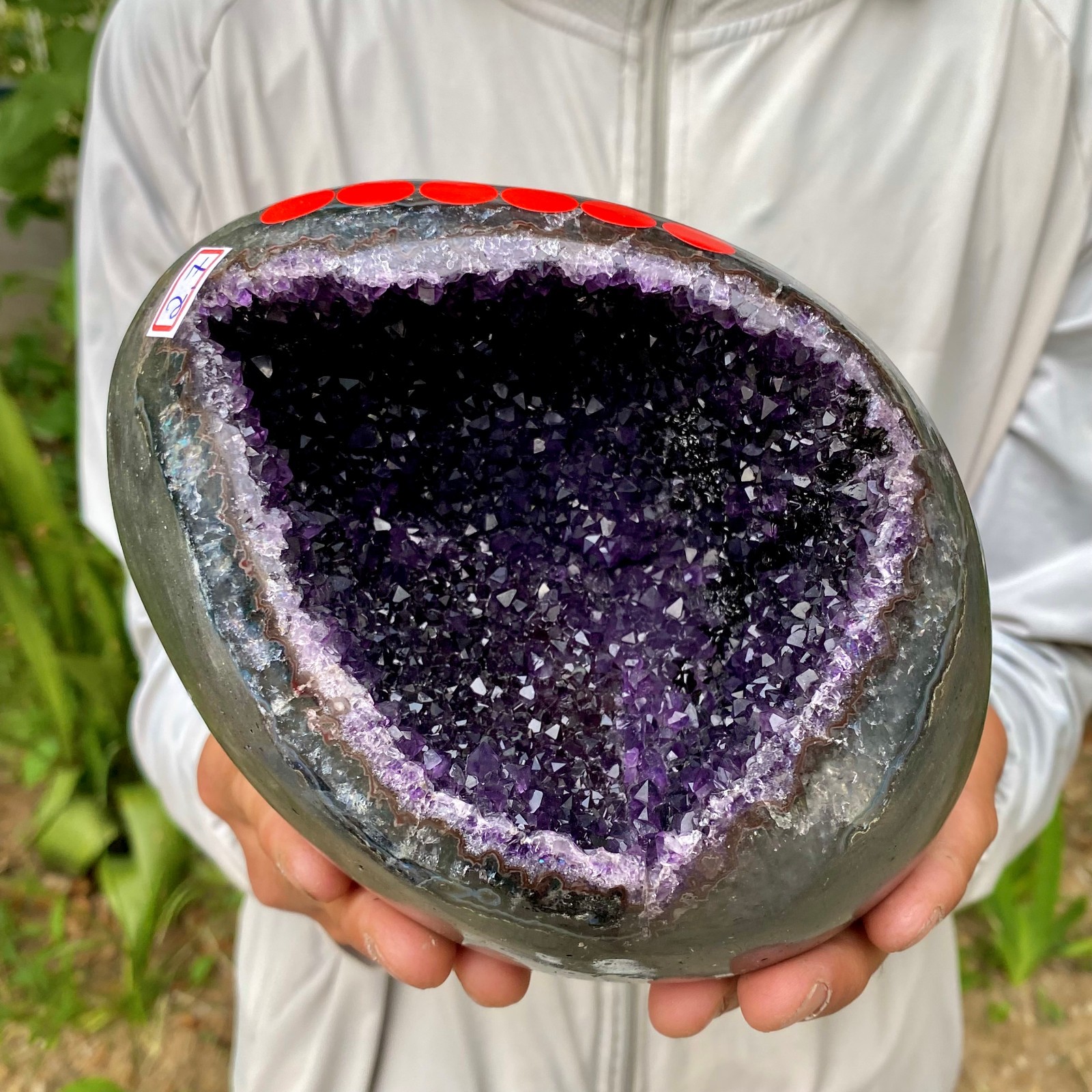 5.99LB High quality Natural Amethyst geode quartz crystal Dinosaur egg healing