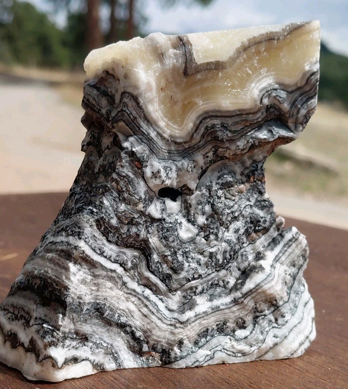 Zebra Calcite Self-Standing Display Band Dendrite 3 3/4×4×1 1/4UVReactive 1/2 Lb