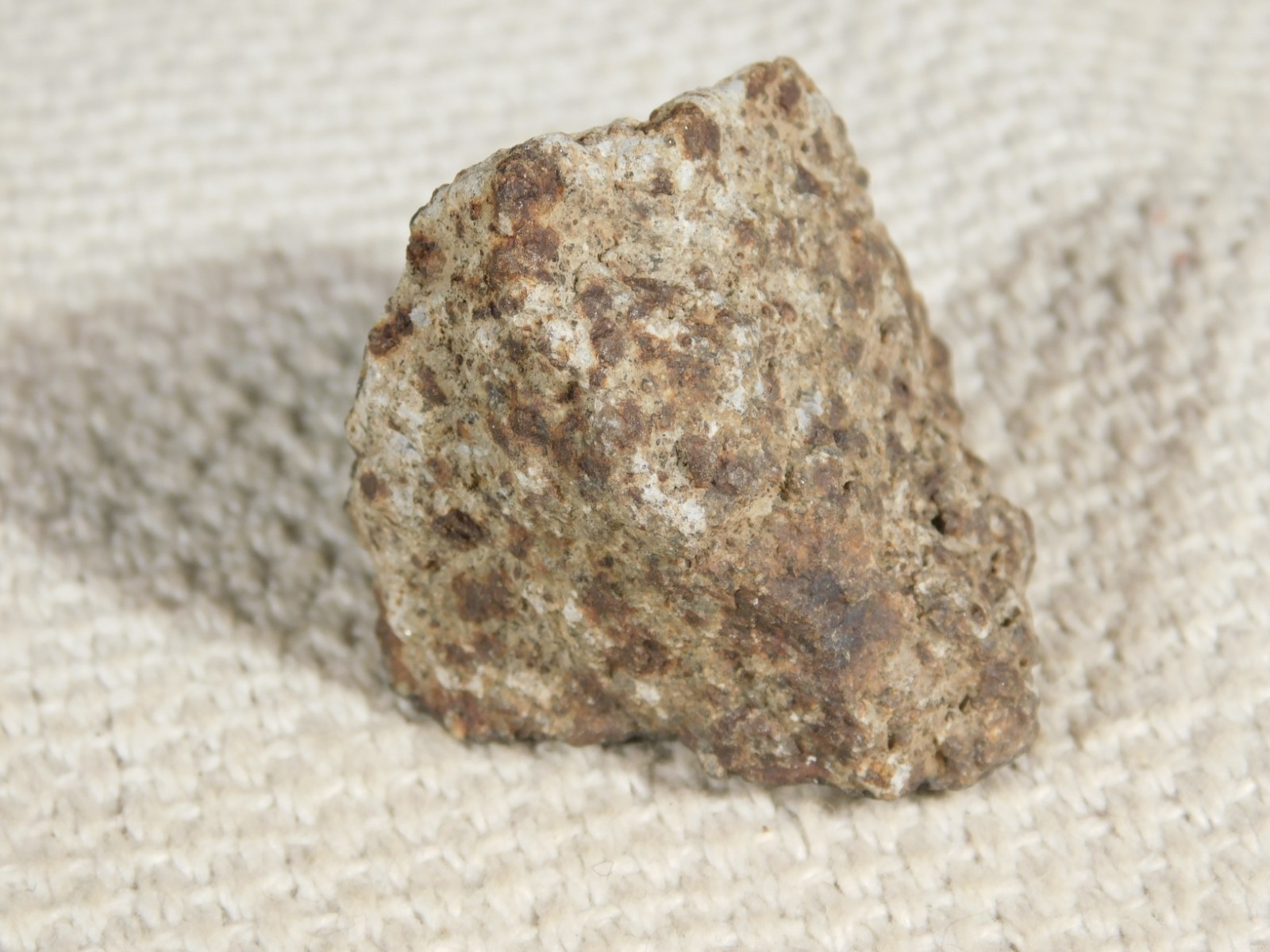 Classified NWA 8245 METEORITE 100% Natural FELL on Erfoud, Morocco 47.3gr