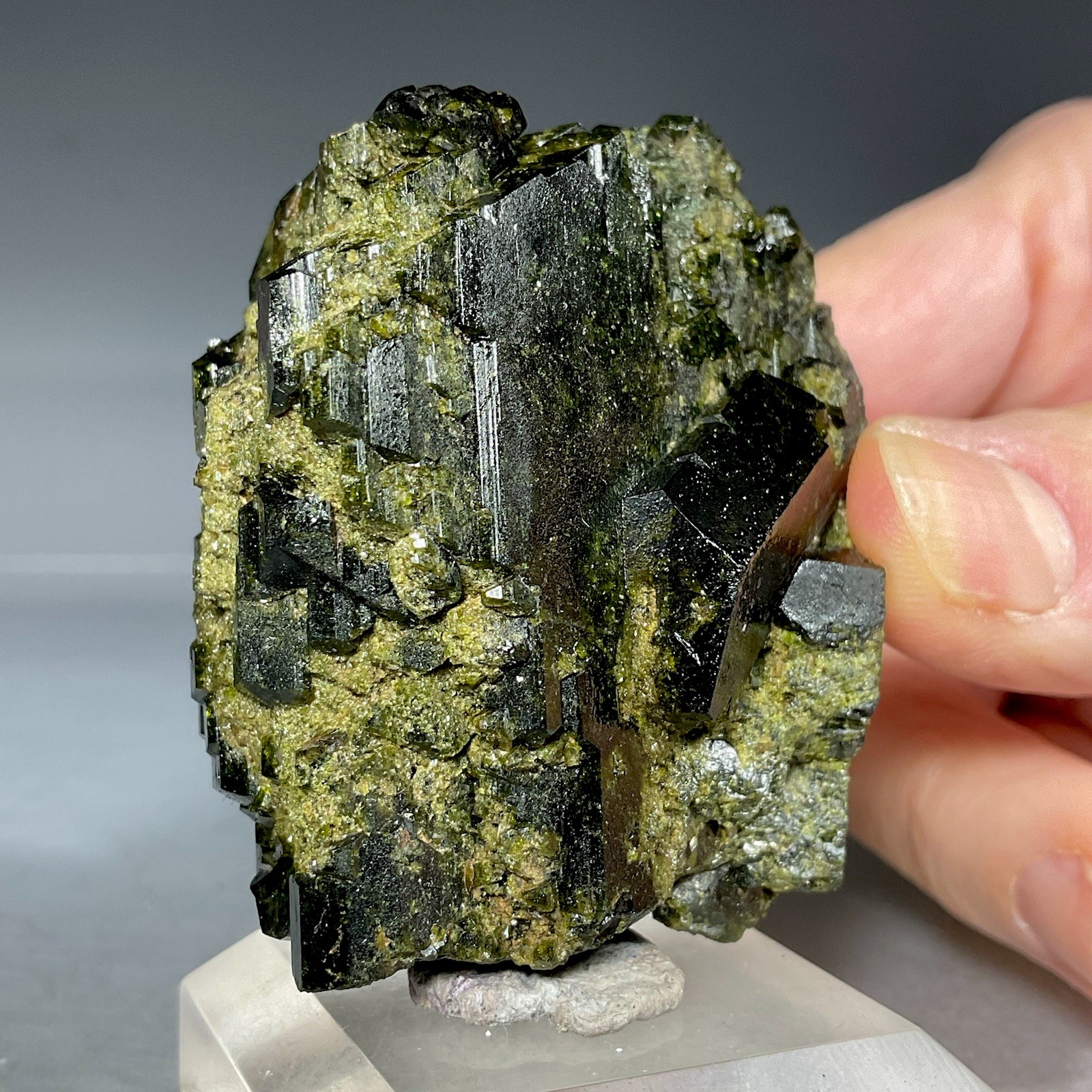 SS Rocks – Epidote (Caneto Province, Lima, Peru) 137g
