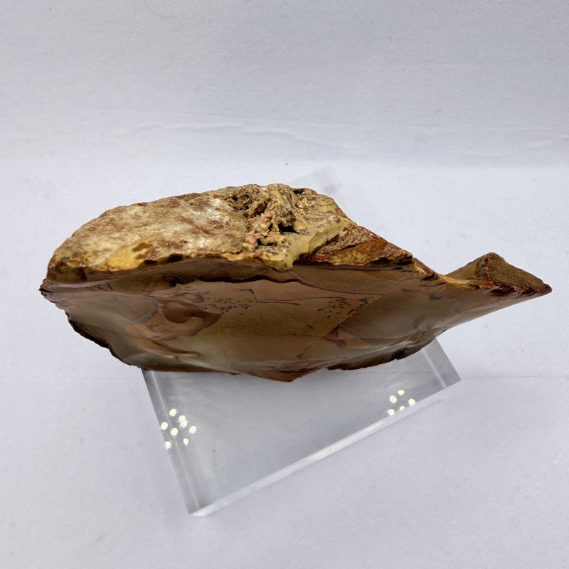 OWYHEE Picture Jasper End Cut Polished Display Stone Oregon USA