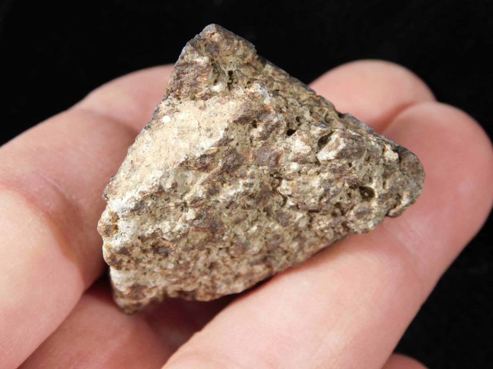 Classified NWA 8245 METEORITE 100% Natural FELL on Erfoud, Morocco 47.3gr