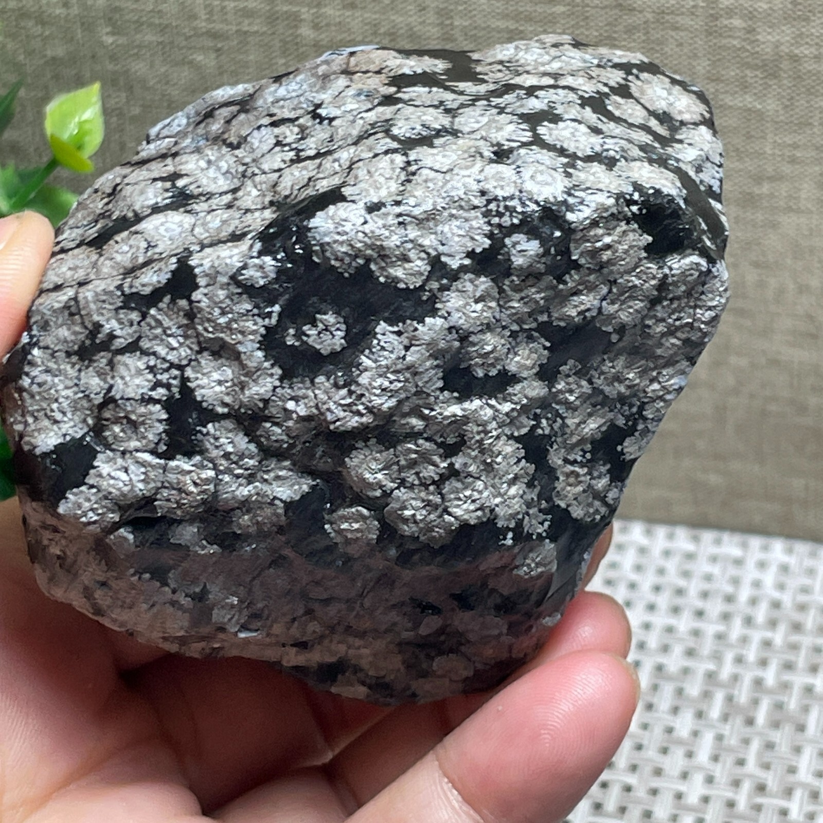 Snowflake Obsidian raw stone rock rough original specimen 300g A143