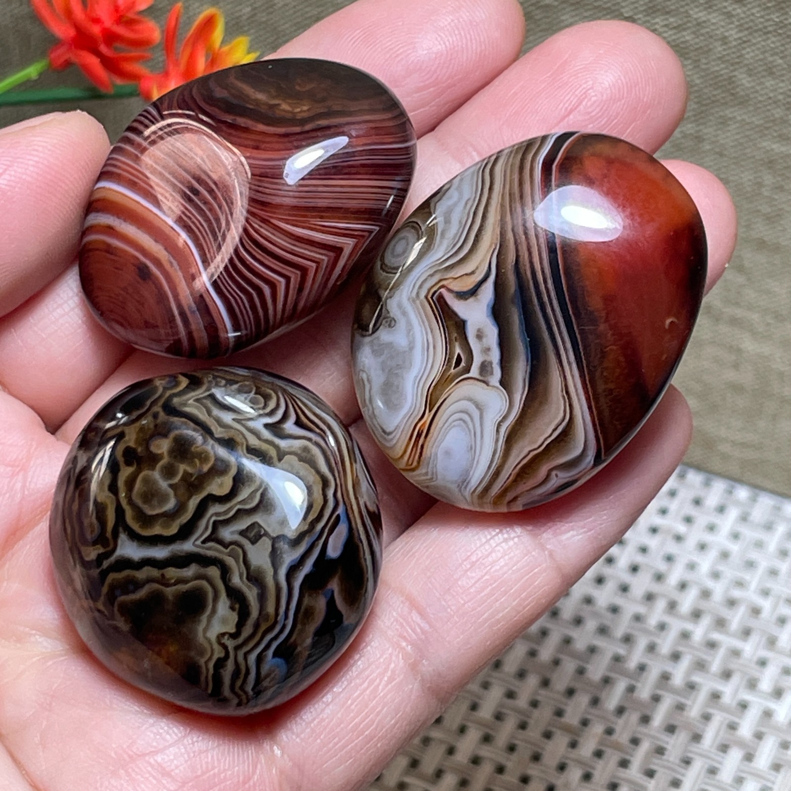 3pcs Crazy Lace SILK Banded Agate Polished Tumbled Stone Madagascar Decor 84g