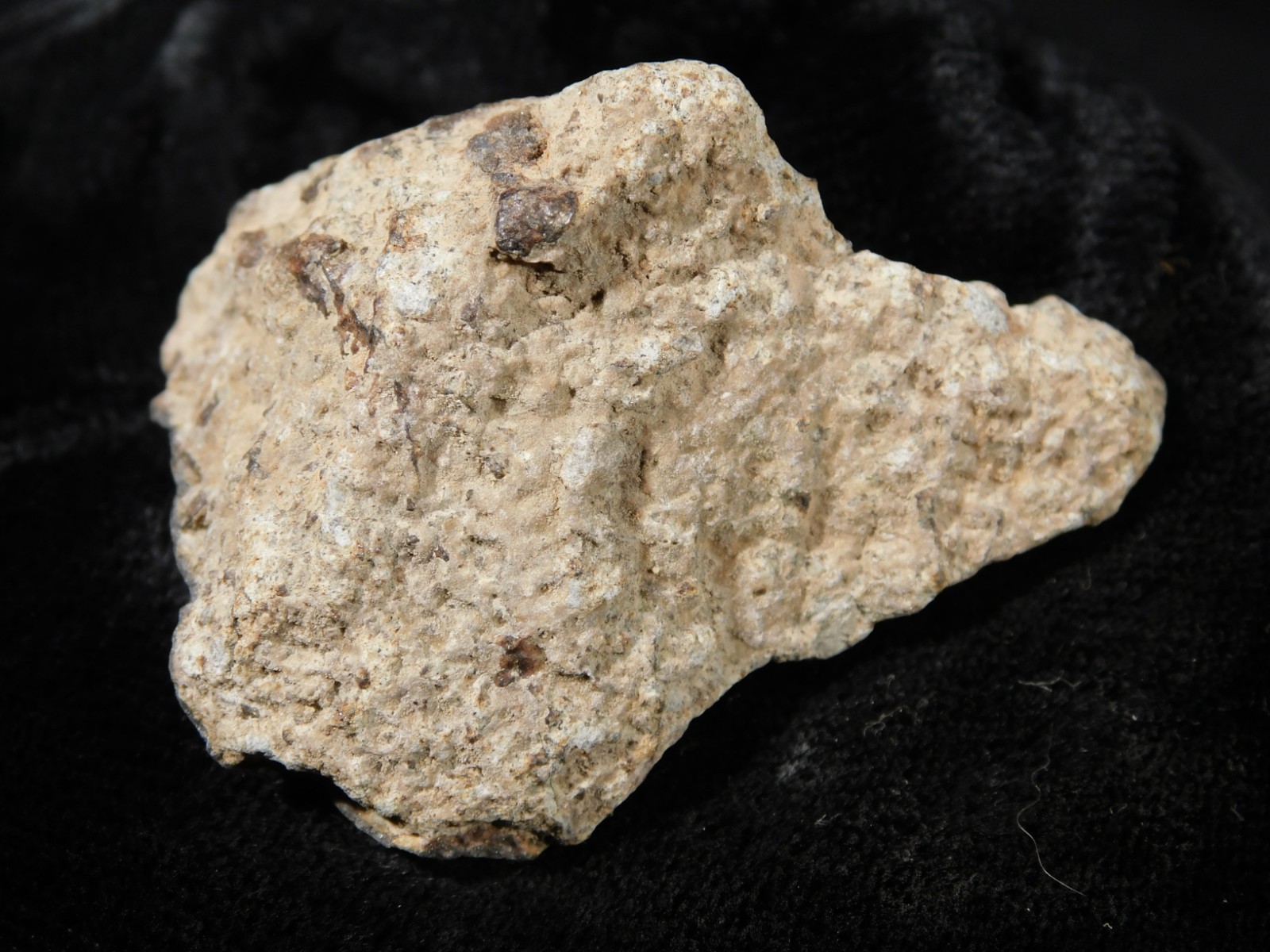 Classified NWA 8245 METEORITE Spots of Dark Fusion Crust! Erfoud, Morocco 55.4gr