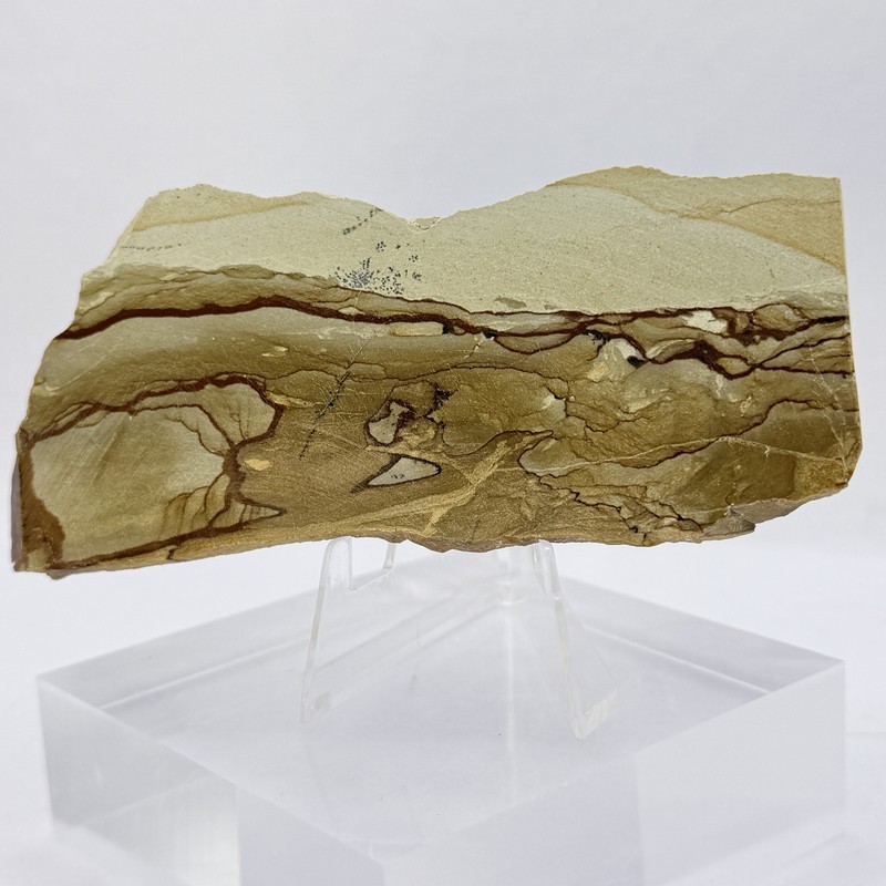 OWYHEE Picture Jasper Slab Polished Display Stone Oregon USA