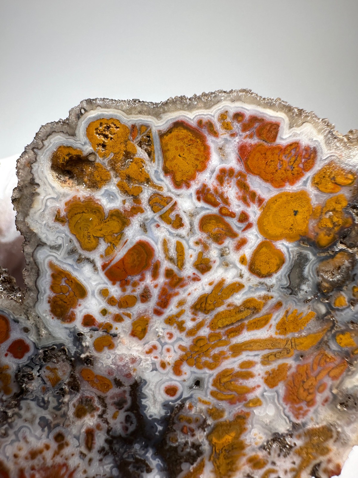 RARE Wingate Pass Plume Agate End-Cut Slab (a.k.a. Death Valley Plume)