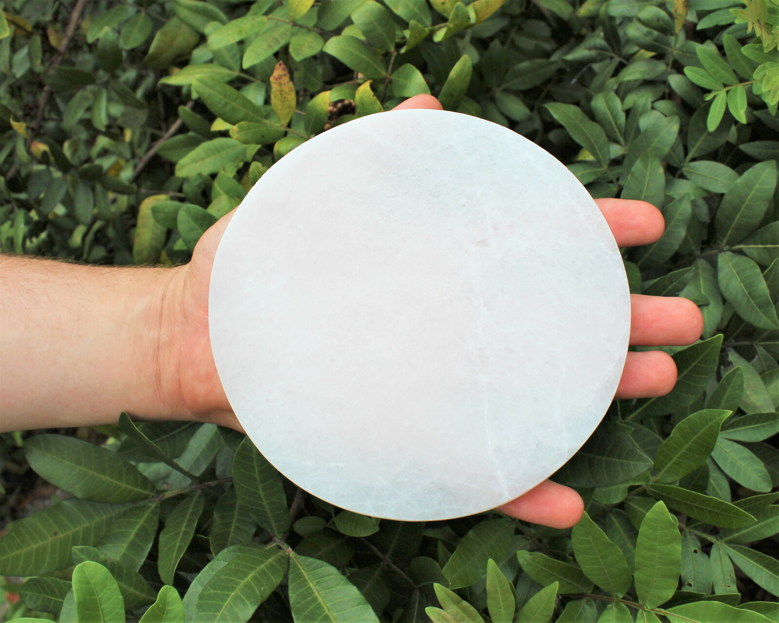 Polished Selenite Circle Charging Station 3″ 4″ or 6″ – Flat Round Crystal Plate