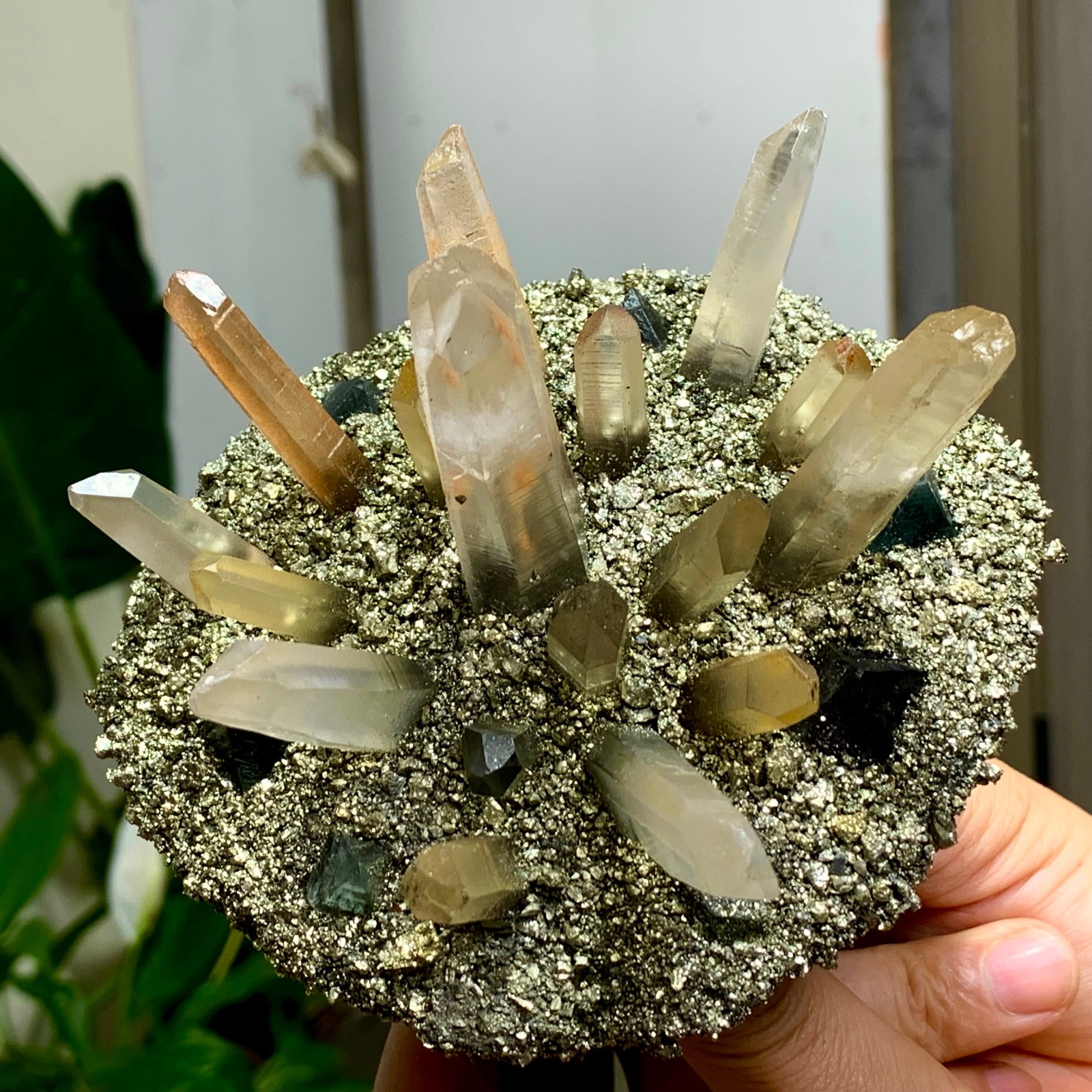 492G Coexistence of natural quartz and pyrite green fluorite crystal clusters