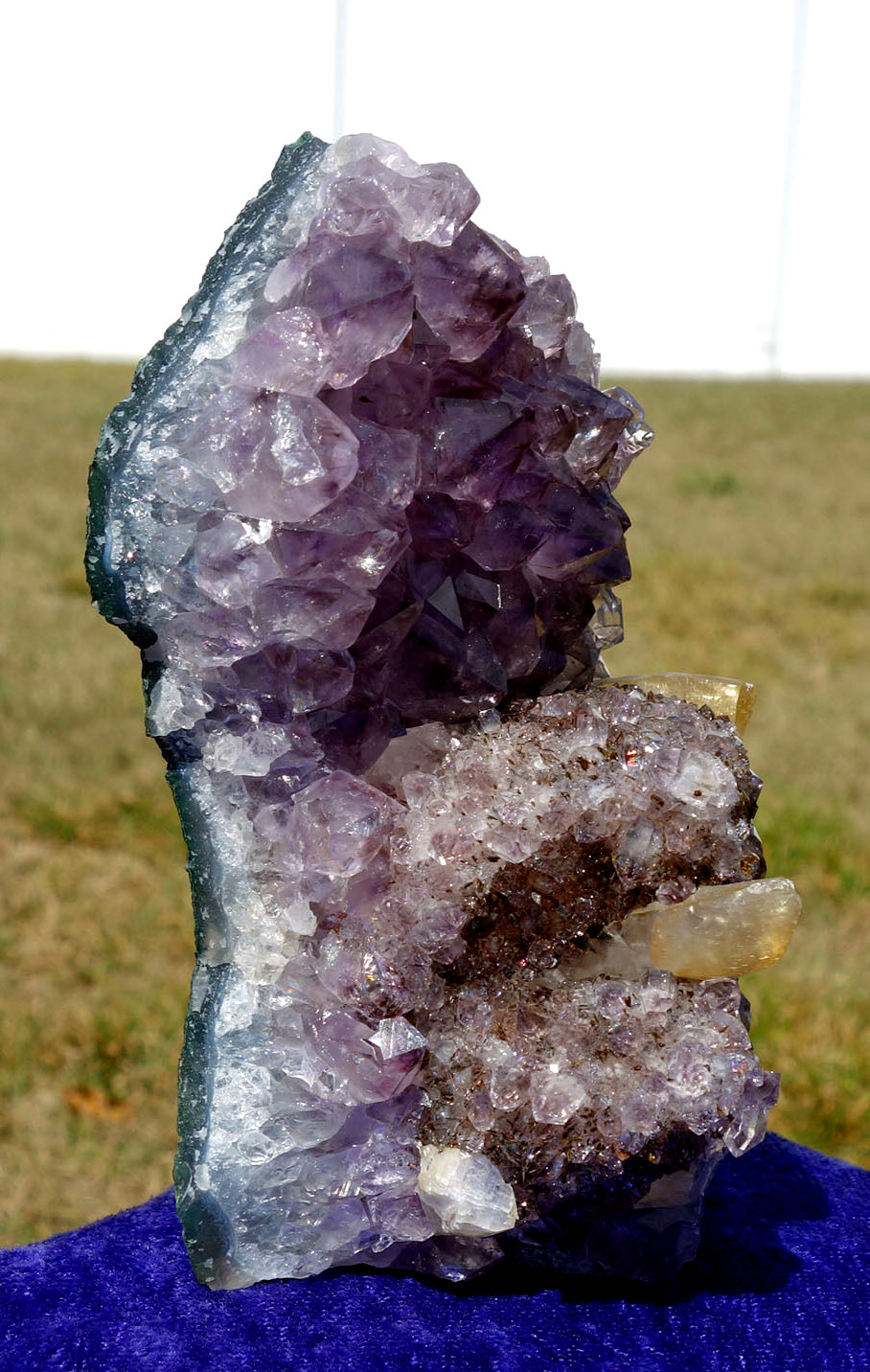 DOGTOOTH CALCITE in Amethyst Flower Quartz Crystal Point a Uruguay STALACTITE